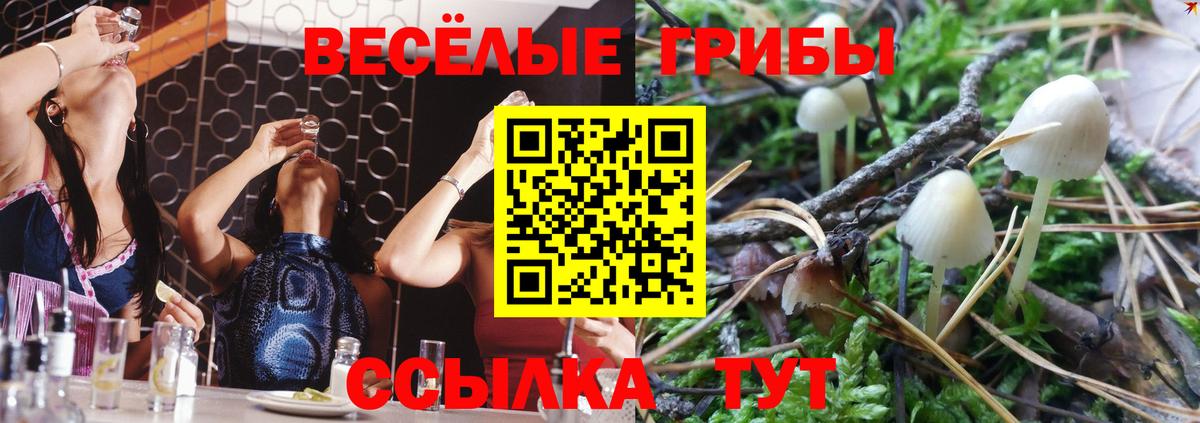 Галлюциногенные грибы Psilocybine cubensis Александров