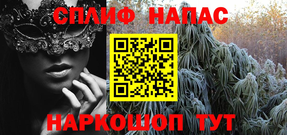 Марихуана конопля  Конопля план  Александров  Вход с VPN 
